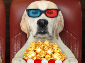 dog movies