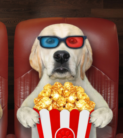 dog movies