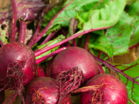 Benefits of beetroot for dogs