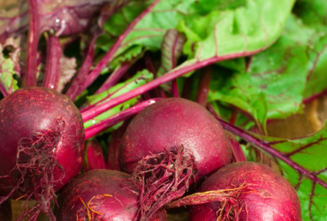 Benefits of beetroot for dogs