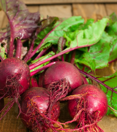 Benefits of beetroot for dogs