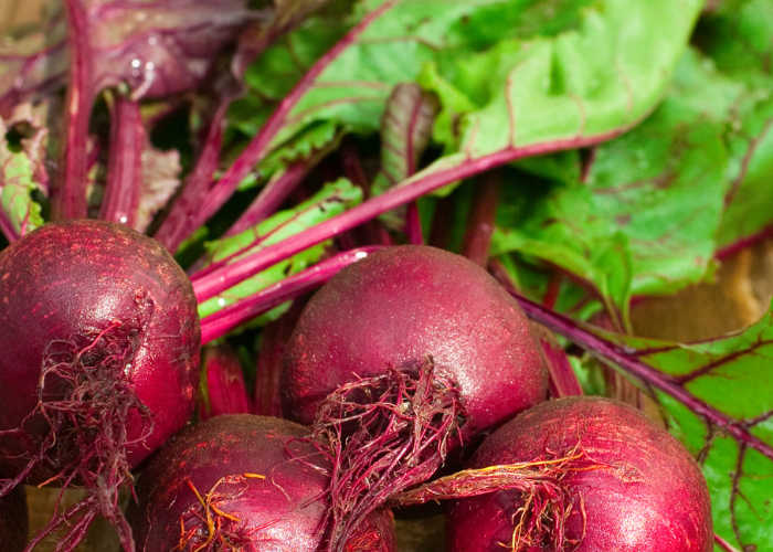 Benefits of beetroot for dogs
