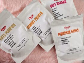 healthy-dog-treats