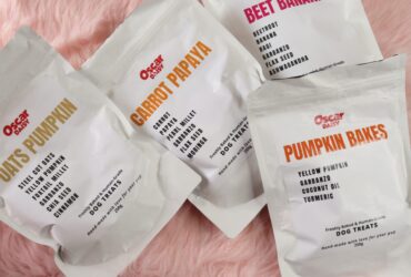 healthy-dog-treats