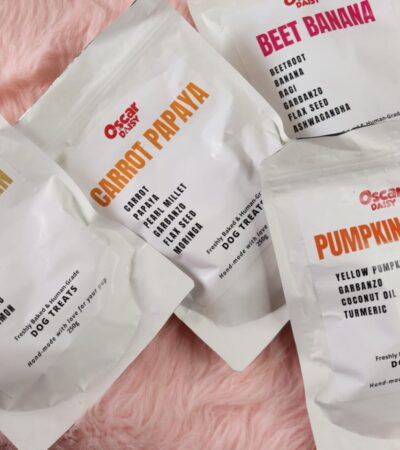 healthy-dog-treats