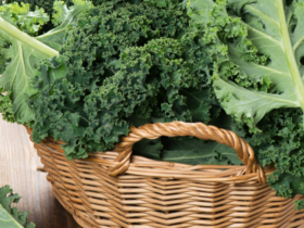 is-kale-good-for-dogs